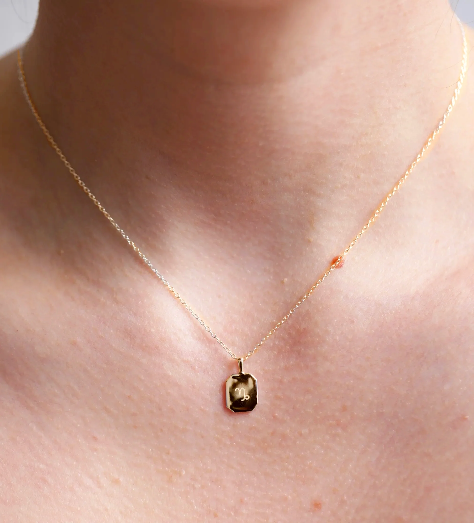 Zodiac Poem Necklace | Octagon - Image 3